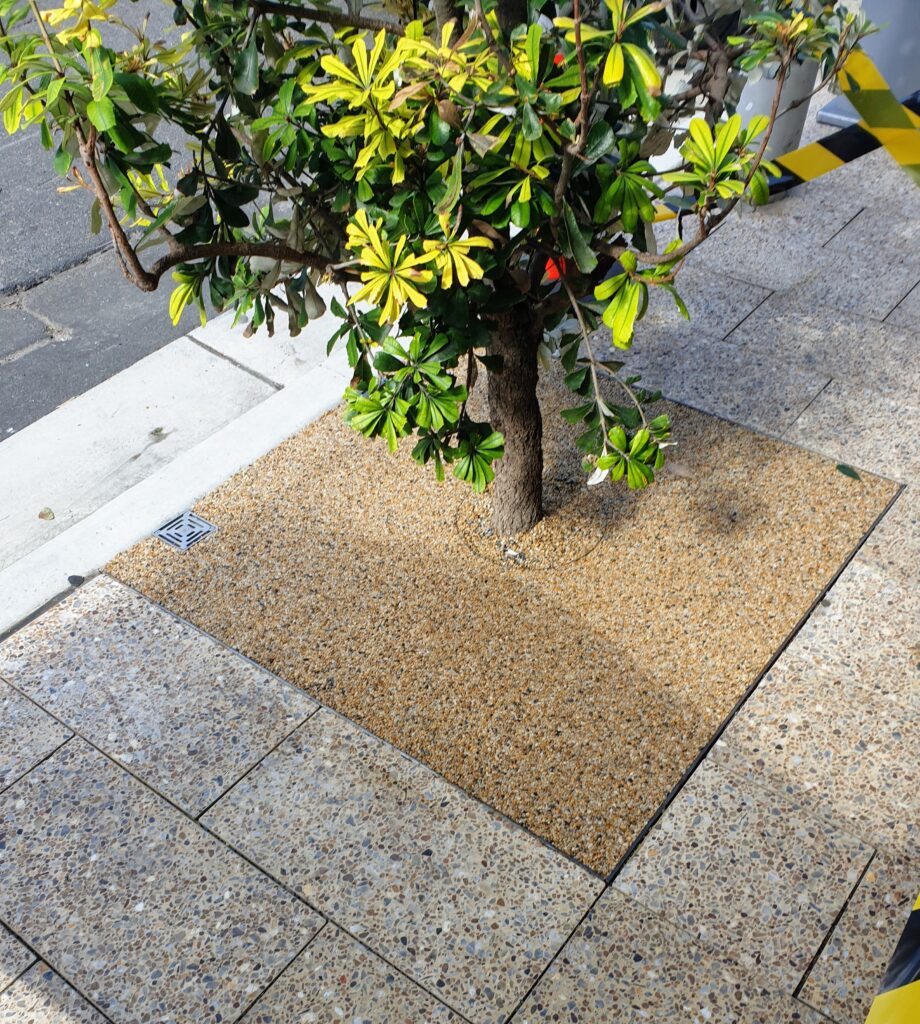 20210324_151604-7577